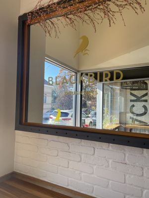 Blackbird Doughnuts Newton Centre by null