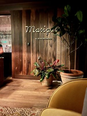 Marigold by Jean-Georges by null