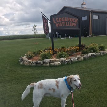 Ledgerock Distillery - dog standing in front of building - Distilleries Near Me - Fond du Lac, Wisconsin Ledgerock Distillery - dog standing in front of building - Distilleries Near Me - Fond du Lac, Wisconsin
