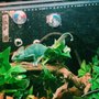 Photo of Petland