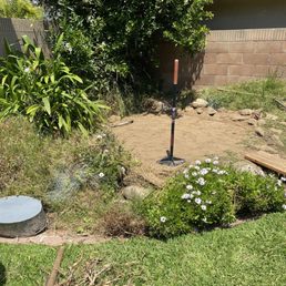 Hole filled in with dirt, tamped down well Hole filled in with dirt, tamped down well