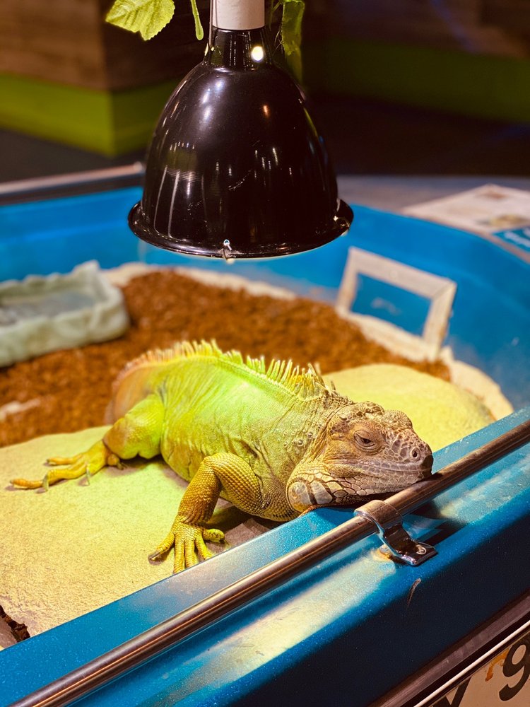 AUSTIN AQUARIUM 1246 Photos & 923 Reviews 13530 N Hwy 183, Austin, TX Classes Yelp