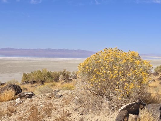 Spiral Jetty by null