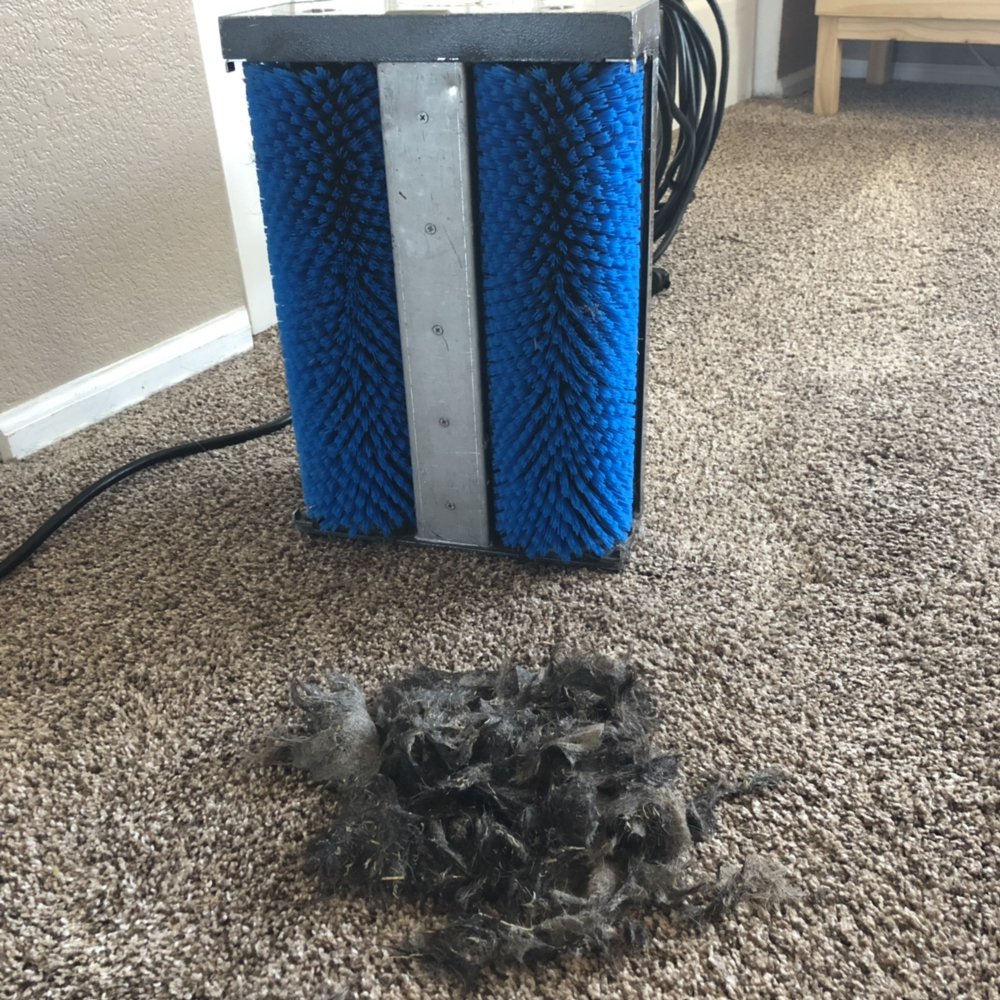 STAGECOACH STEAM CLEANING 28 Photos Carpet Cleaning Colorado