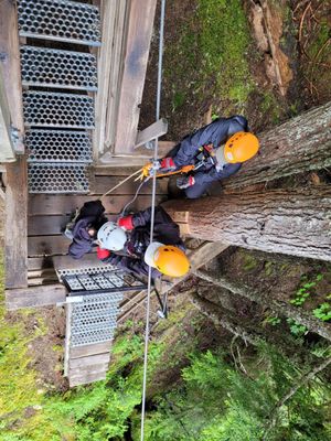 Ziptrek Ecotours by null