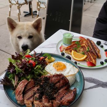 Toast In Town - Tokyo Ribeye & Pandan French Toast - Salad Near Me - Foster City, California Toast In Town - Tokyo Ribeye & Pandan French Toast - Salad Near Me - Foster City, California