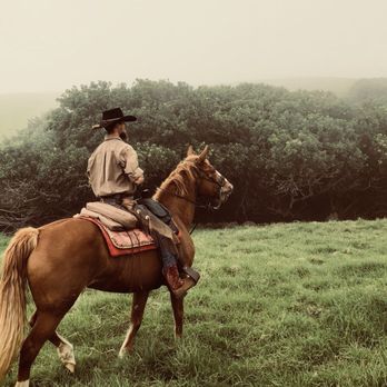 Paniolo Adventures - Horseback Riding Near Me Paniolo Adventures - Horseback Riding Near Me