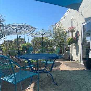 Girasol Cafe and Bakery - Outdoor patio and sunflower garden - Bakeries Near Me - Amarillo, Texas Girasol Cafe and Bakery - Outdoor patio and sunflower garden - Bakeries Near Me - Amarillo, Texas