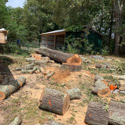 Elias Chavez Tree Service