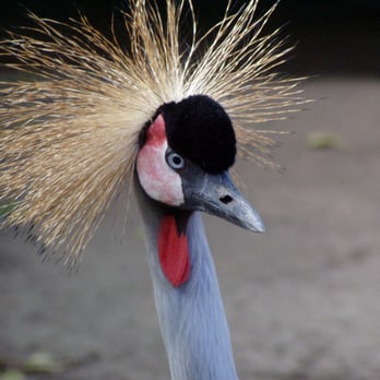 Tierpark - Zoos Near Me - Bad Pyrmont, NI