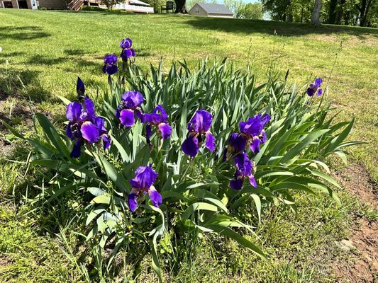 Warrior Retreat at Bull Run by null