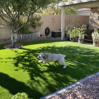 Las Vegas Artificial Lawns - Artificial Turf Near Me - Las Vegas, Nevada Las Vegas Artificial Lawns - Artificial Turf Near Me - Las Vegas, Nevada