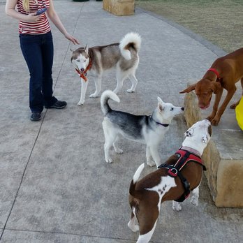 Bush Central Barkway - Dog Parks Near Me - Richardson, Texas