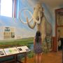Photo of Yellowstone Gateway Museum of Park County