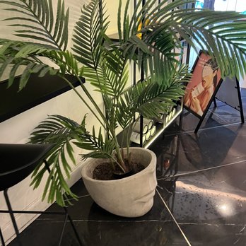 Aubi & Ramsa - Ice Cream & Frozen Yogurt Near Me - Fort Lauderdale, Florida