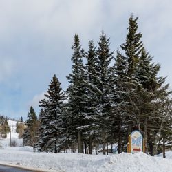 Mountain Inn at Lutsen - Mountain Inn in all her glory mid Winter 2019.