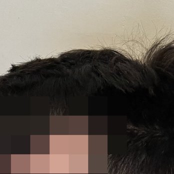 Haven Hair Studio - Hair Salons Near Me - Kelowna, British Columbia Haven Hair Studio - Hair Salons Near Me - Kelowna, British Columbia