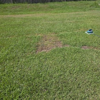 TDI Services - Lawn Services Near Me - Robertsdale, Alabama TDI Services - Lawn Services Near Me - Robertsdale, Alabama