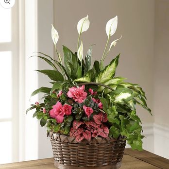 Bloomers Flowers & Gifts - The arrangement I ordered, but later learned it's an AI image submitted to their website by wiring service contractors. - Florists Near Me - Corry, Pennsylvania Bloomers Flowers & Gifts - The arrangement I ordered, but later learned it's an AI image submitted to their website by wiring service contractors. - Florists Near Me - Corry, Pennsylvania