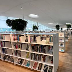 Oodi