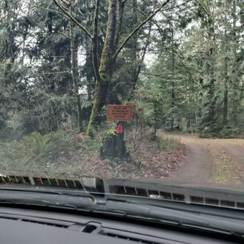 Gerrits Greens - Christmas Trees Near Me - Rainier, Washington Gerrits Greens - Christmas Trees Near Me - Rainier, Washington