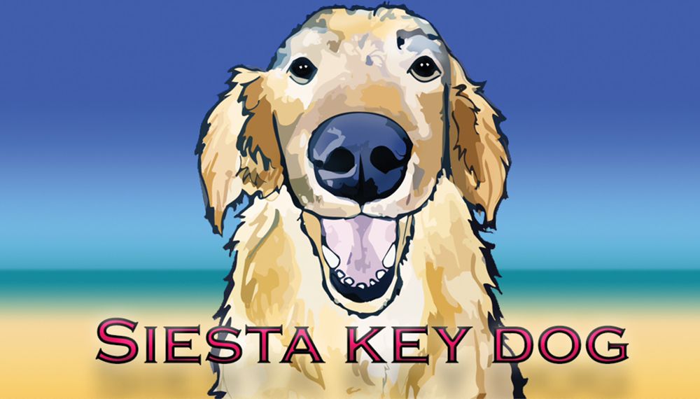Siesta Key Dog Image