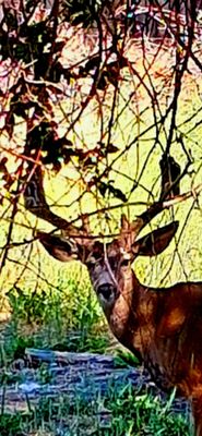 Changing Smiles Denture & Implant Center