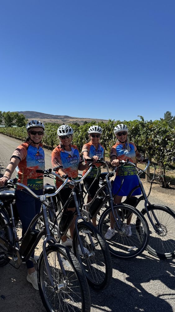 Palisade Cycle & Shuttle Logo