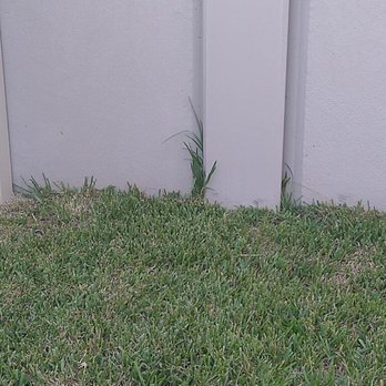Your Green Team - This is there absolute best work huh? - Pest Control Near Me - Plant City, Florida Your Green Team - This is there absolute best work huh? - Pest Control Near Me - Plant City, Florida