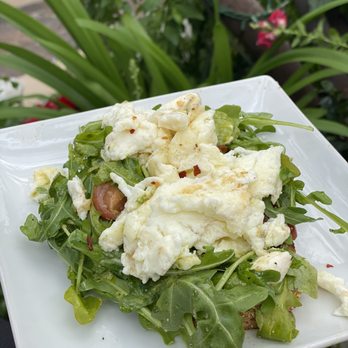 Schmooze - Coffee & Tea Near Me - Scottsdale, Arizona Schmooze - Coffee & Tea Near Me - Scottsdale, Arizona