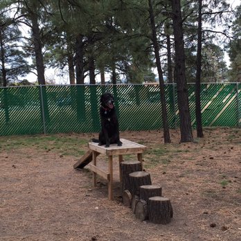 Flagstaff KOA - Shadow at the dog park! - RV Parks Near Me - Flagstaff, Arizona Flagstaff KOA - Shadow at the dog park! - RV Parks Near Me - Flagstaff, Arizona