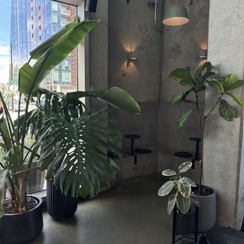 Dr.ink - Inside - Coffee & Tea Near Me - San Jose, California