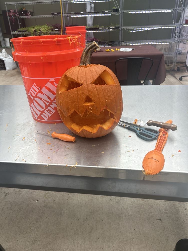 Webers Greenhouse - social services organization in Milwaukee, WI