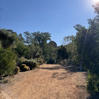 Boyce Thompson Arboretum - Botanical Gardens Near Me - Superior, Arizona Boyce Thompson Arboretum - Botanical Gardens Near Me - Superior, Arizona