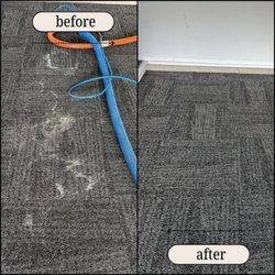 Dirty Rugs Dot Com