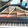 Photo of Storm Piano Tuning