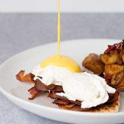 Brunch specialty - Classic eggs benedict