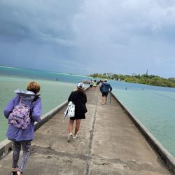 Hawaii Institute of Marine Biology at Coconut Island - Walking to end of pier to meet water taxi