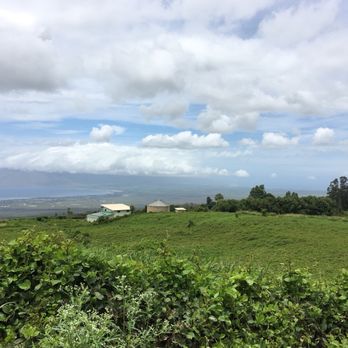 MauiWine - Wineries Near Me - Kula, Hawaii