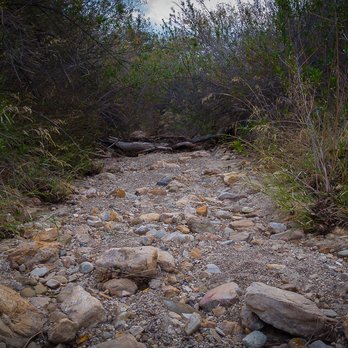 Aliso Canyon Park - dry creek bed - Hiking Near Me - Granada Hills, California