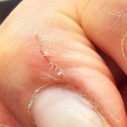 Serene Nails & Spa - Cut from the File