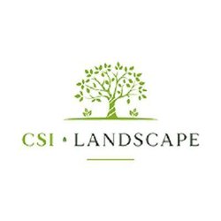 CSI Landscape
