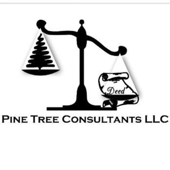 Pine Tree Consultants - Call for a free consultation 1-877-250-3596 - Business Consulting Near Me Pine Tree Consultants - Call for a free consultation 1-877-250-3596 - Business Consulting Near Me