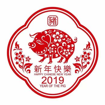 Qi Acupuncture Clinic - Acupuncture Near Me - Willowbrook, Illinois Qi Acupuncture Clinic - Acupuncture Near Me - Willowbrook, Illinois