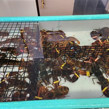 Downeast Lobster Pound - Live lobster - Seafood Near Me - Trenton, Maine Downeast Lobster Pound - Live lobster - Seafood Near Me - Trenton, Maine