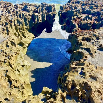 Blowing Rocks Preserve - Beaches Near Me - Hobe Sound, Florida