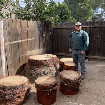 A&J Tree - The owner, Juan, next to the table and chairs out of palm stump and chopped sections. We will enjoy this for years to come. - Tree Services Near Me