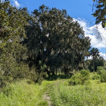 Circle B Bar Reserve - Hiking Near Me - Lakeland, Florida Circle B Bar Reserve - Hiking Near Me - Lakeland, Florida