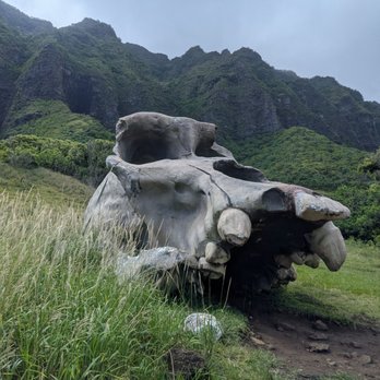 Kualoa Ranch - Tours Near Me - Kaneohe, Hawaii Kualoa Ranch - Tours Near Me - Kaneohe, Hawaii