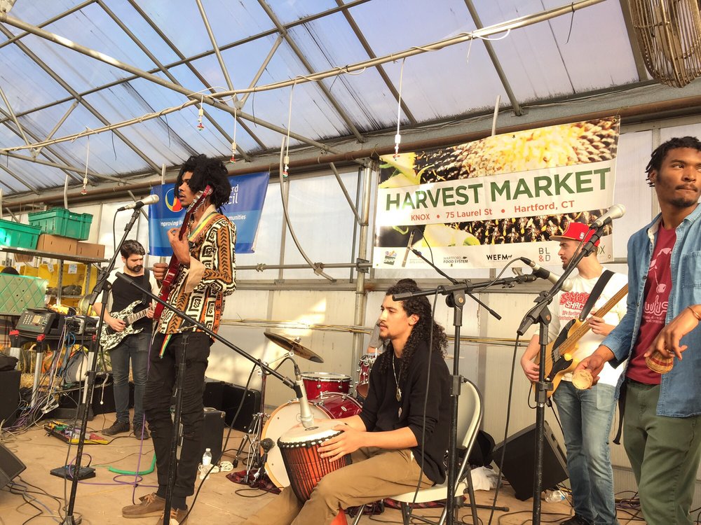 Knox Parks Foundation - social services organization in Hartford, CT